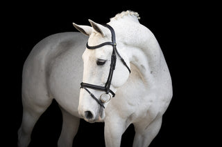 LJ Leathers Trense mit kombiniertem reithalfter Classic Touch Schwarz