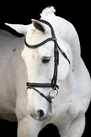 LJ Leathers Trense mit kombiniertem reithalfter Classic Touch Schwarz