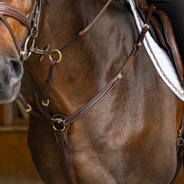 Collier de Chasse HFI Pro Line Arezzo avec Martingale