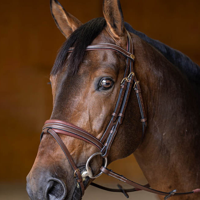 HFI Hoofdstel Padded Bruin