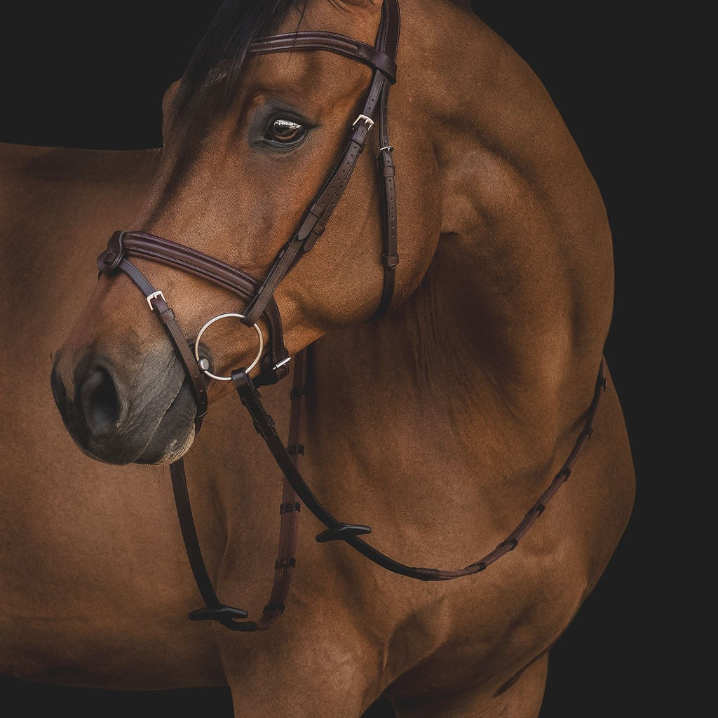 Equiline Hoofdstel Classic gecombineerde neusriem Bruin Full