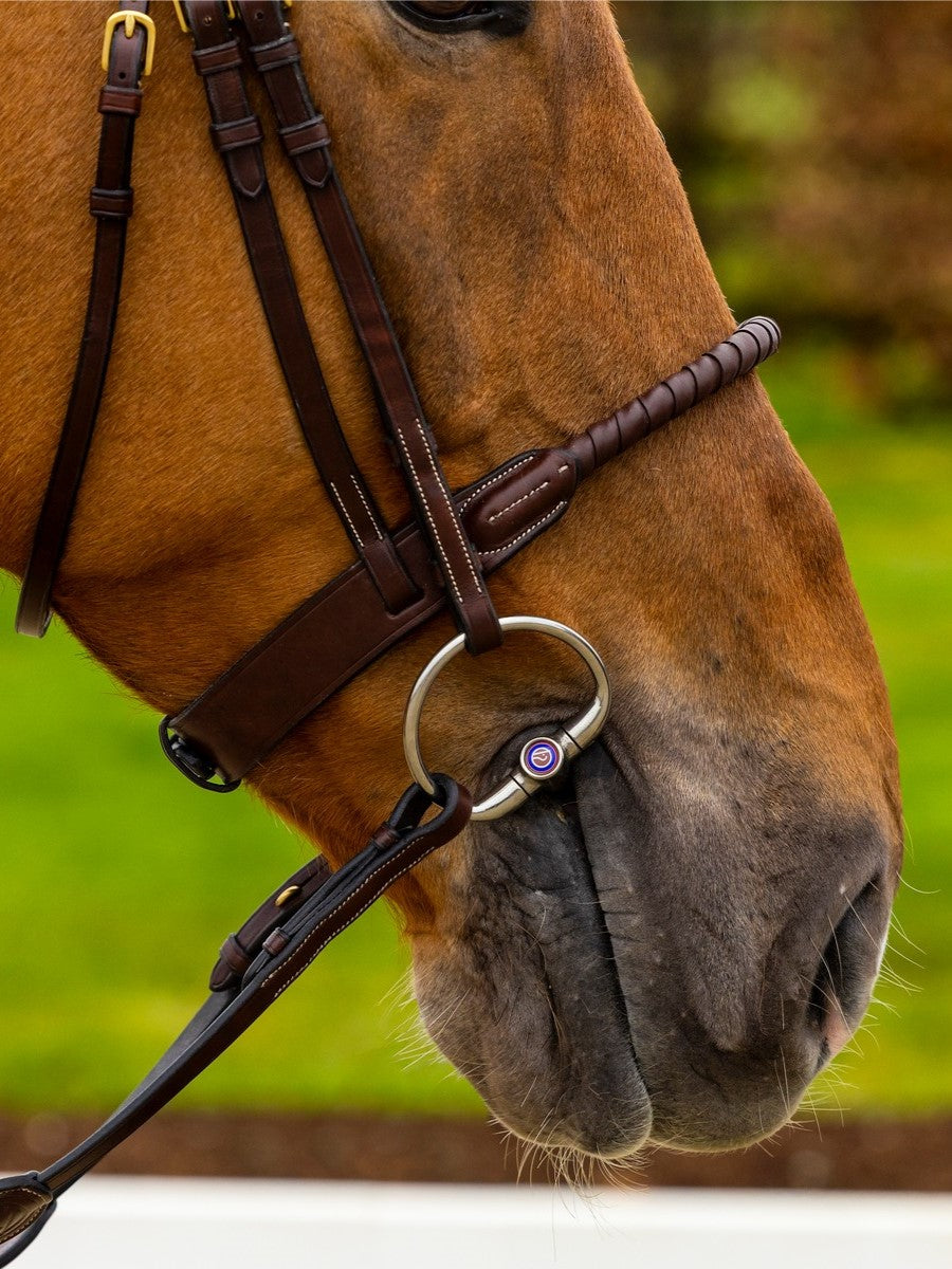 TRUST hoofdstel Dublin leder omklede touwneusriem gouden gesp Bruin