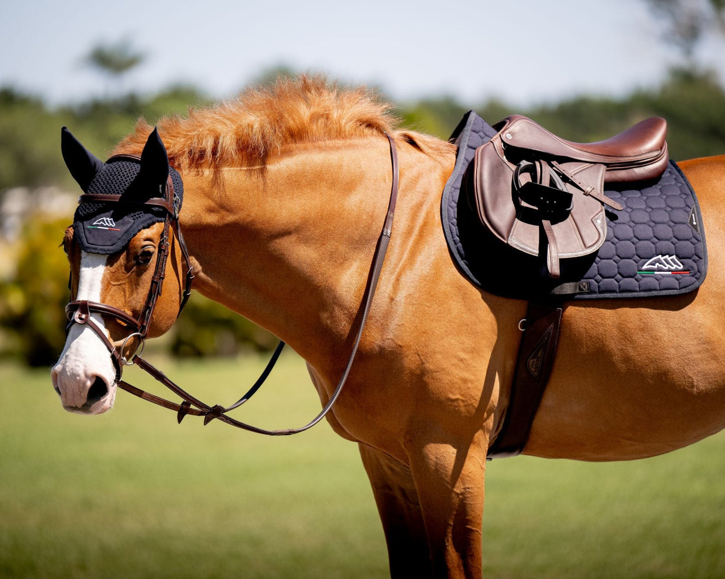 Equiline Set Schabracke und Fliegenmütze Eqflaggy Navy Pony