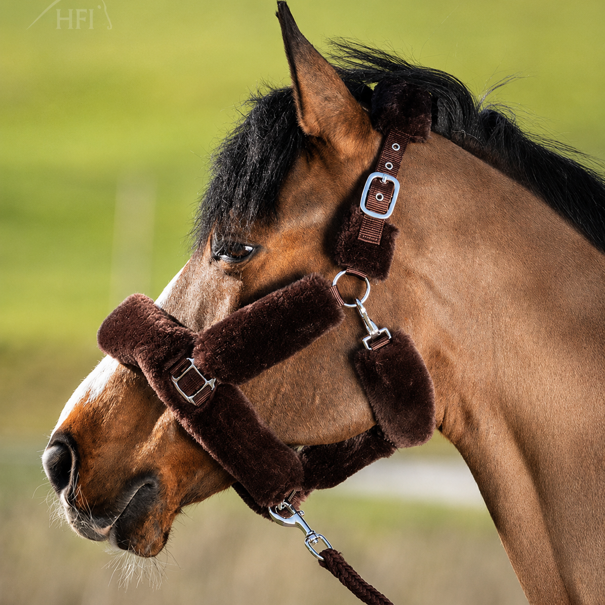 HFI Halster Cosy Bruin full