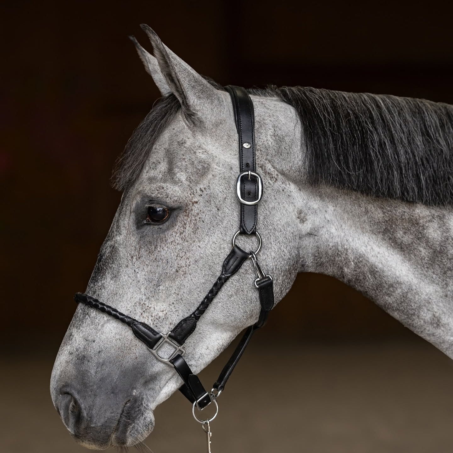 HFI Leren Halster Braided Zwart