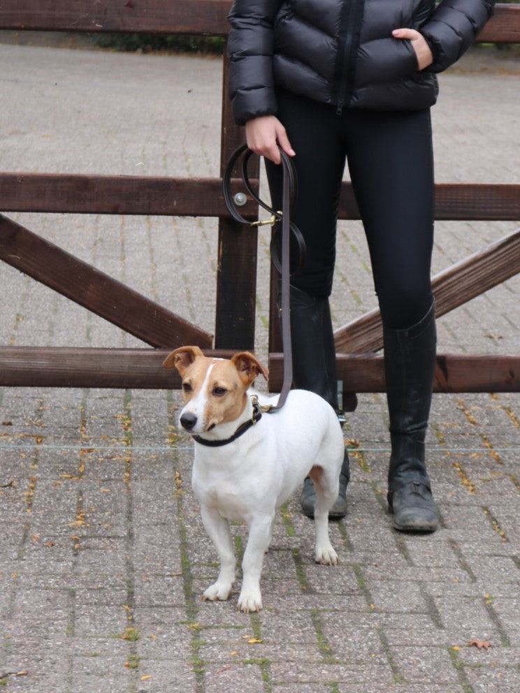Eskadron E-Dog Lederhalsband und Hundeleine Braun
