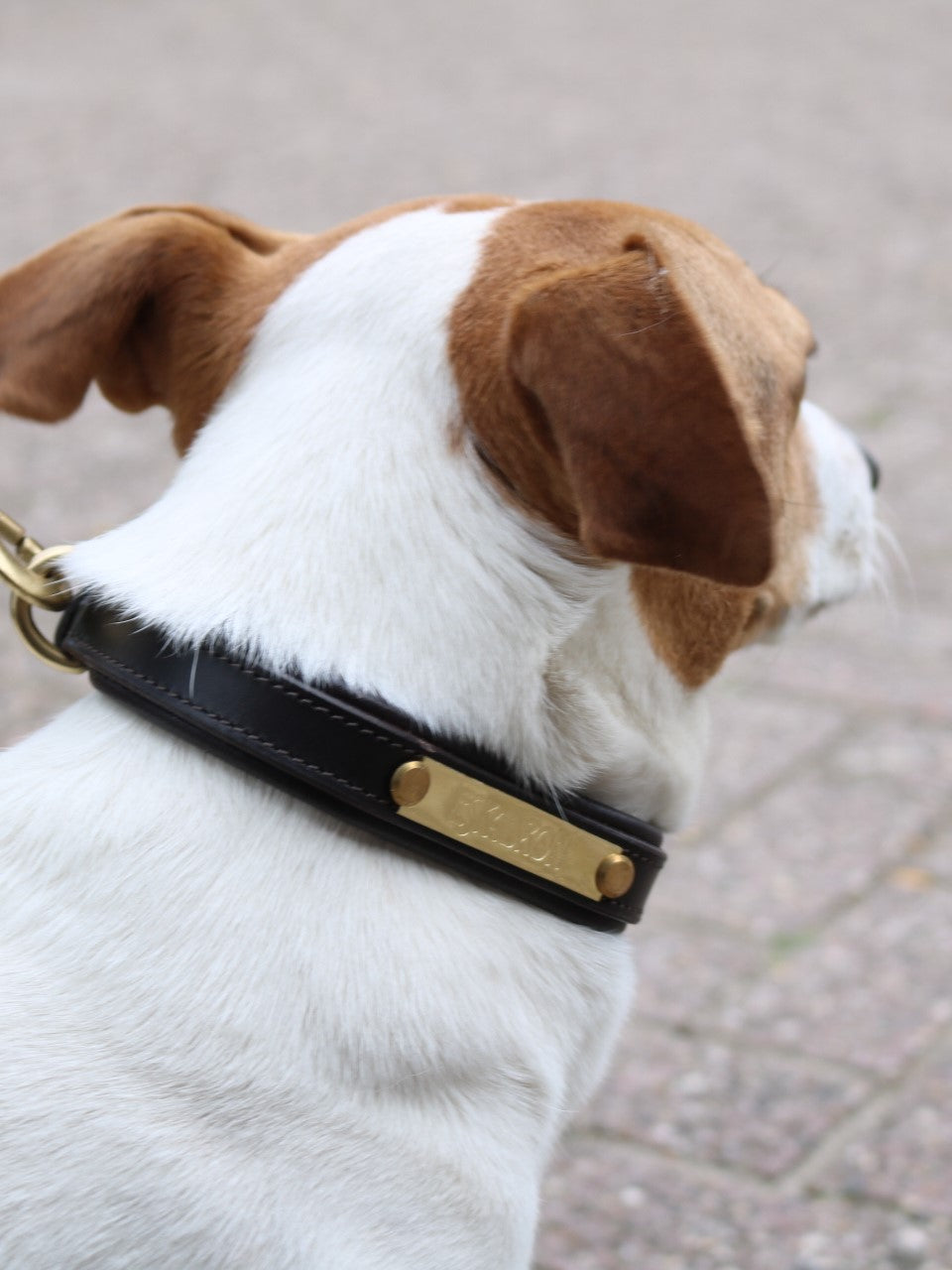 Eskadron E-Dog Lederhalsband und Hundeleine Braun