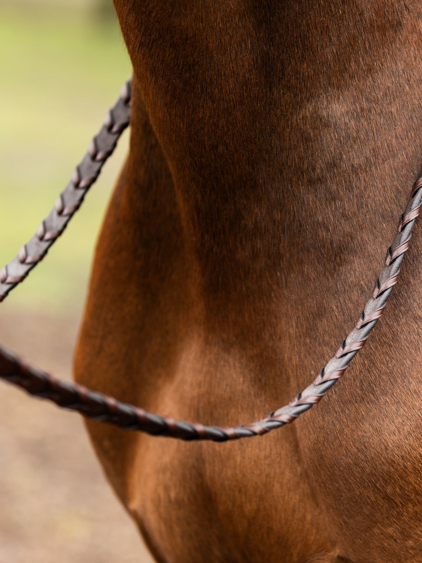 TRUST Hunter Zügel Braided silberne Schnallen Braun