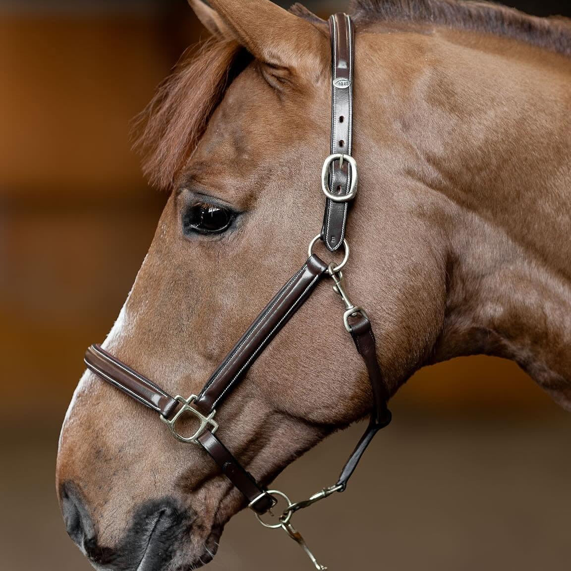 HFI Leren Halster Little Groom Bruin