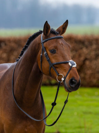 TRUST Trense Oslo mexikanisches Reithalfter mit silbernen Schnallen Schwarz