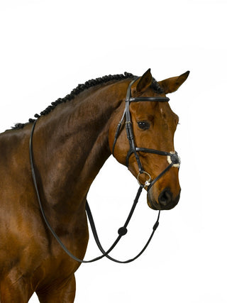 TRUST Trense Oslo mexikanisches Reithalfter mit silbernen Schnallen Schwarz