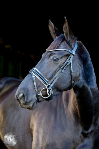 LJ Leathers Trense Pro Selected Nasenriemen mit Lackleder Sunline Schwarz