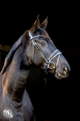 LJ Leathers Trense Pro Selected Nasenriemen mit Lackleder Sunline Schwarz