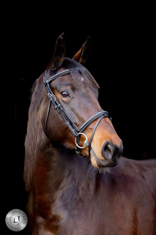 LJ Leathers Pro Selected Trense mit kombiniertem reithalfter Heritage Schwarz