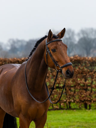 TRUST Trense Rome Hannoveranischem Nasenriemen mit silbernen Schnallen Schwarz