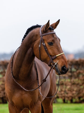 TRUST Trense St. Gallen strickreithalfter mit silberne Schnallen braun