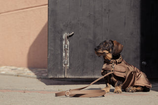 Eskadron Heritage 24-25 Hundemantel 1680D Teddyfleece Almond