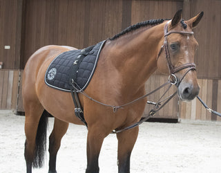 LJ Leathers Magic Lunge von Symons Longierhilfe