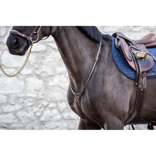 Dyon D Collection Martingal Yoke Braun