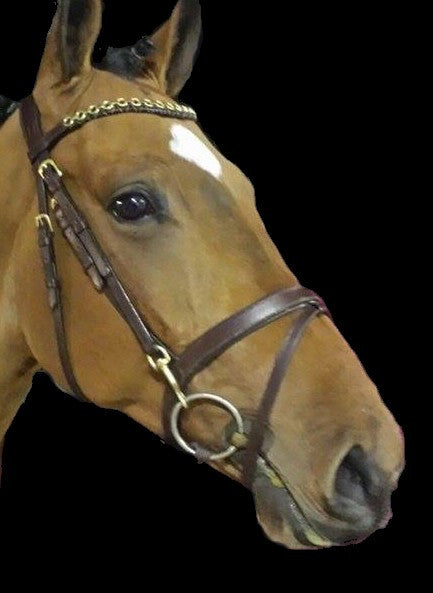 Equilook Sports frontriem Cristoball zwart