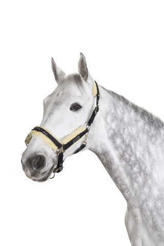 Eskadron Halfter pin buckle faux fur