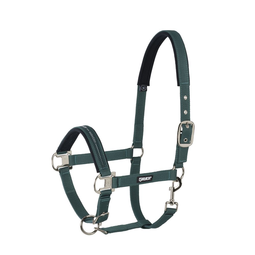 Eskadron Halfter pin buckle