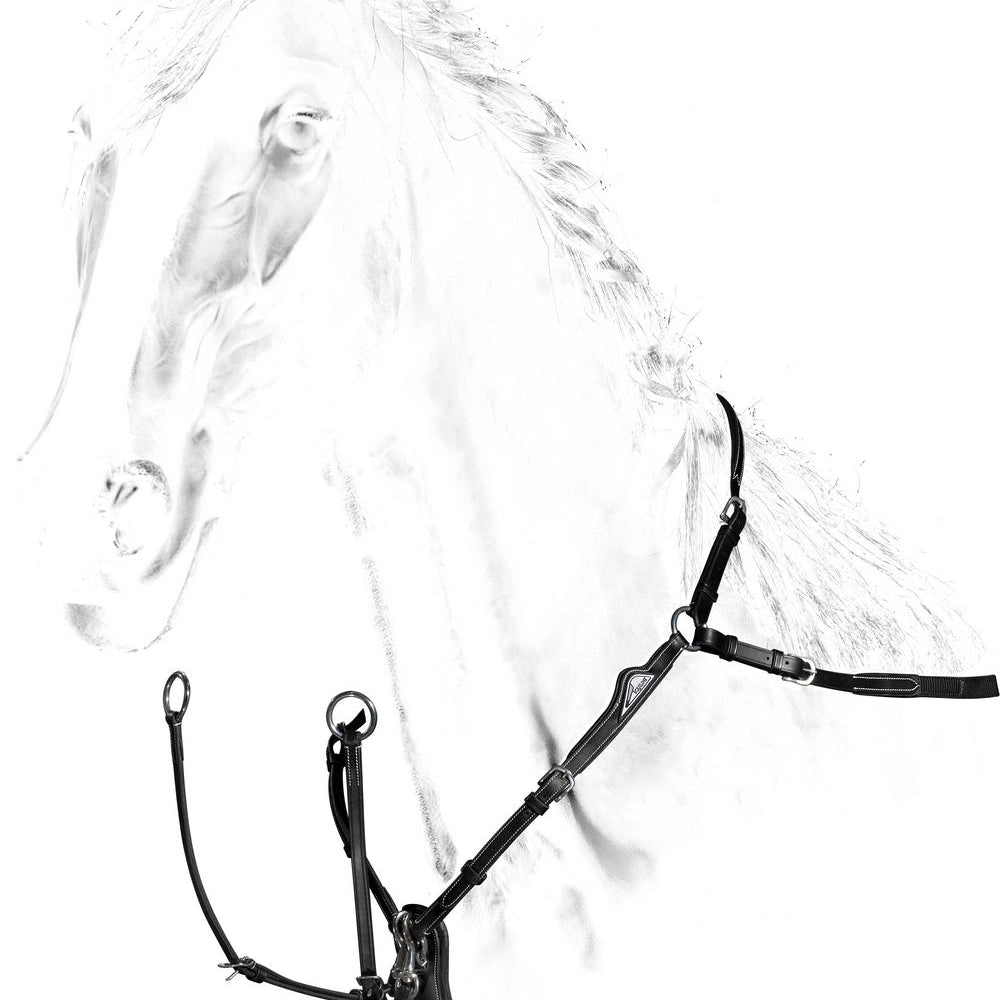 Equiline Borsttuig zwart Zwart