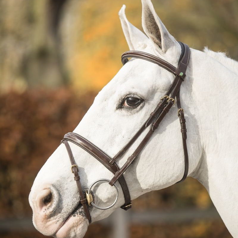 LJ Leathers New Pro hoofdstel gecombineerde neusriem Bruin Goud kleurig