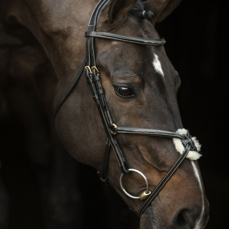 LJ Leathers New Pro hoofdstel mexicaanse neusriem Zwart Goud kleurig