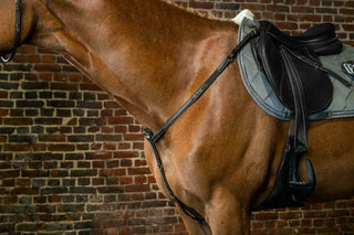 Dyon D Collection Vorderzeug fancy mit Elastikeinsatz Schwarz