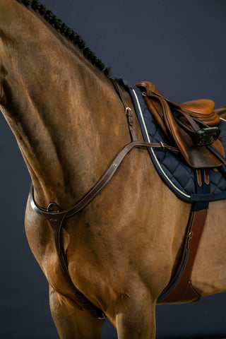 Dyon D Collection Vorderzeug mit lange brücke Braun