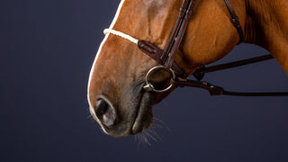 Dyon New English Collection Strickreithalfter Braun