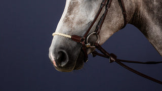 Dyon New English Collection hannoversches strickreithalfter mit umlenkverschnallung Braun