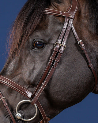 Dyon US Jumping Trense Mit Kombiniertem Reithalfter Braun