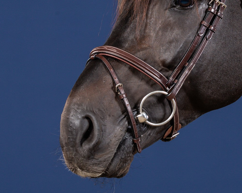 Dyon US Jumping Trense Mit Kombiniertem Reithalfter Braun