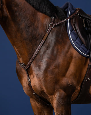 Dyon US Collection Vorderzeug mit brücke Braun