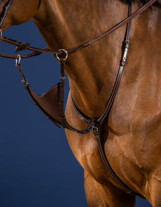 Dyon US Collection Weiche geschlossene martingalgabel Braun