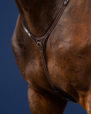 Dyon US Collection martingal Yoke Braun