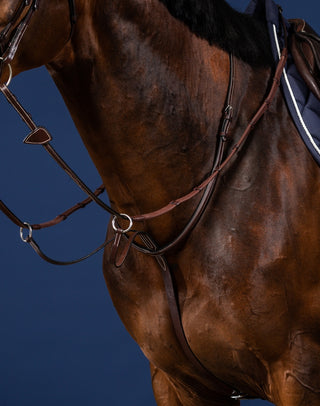 Dyon US Collection Ringmartingal Braun