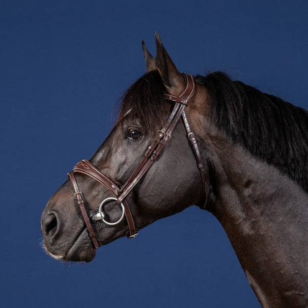 Dyon US Jumping hoofdstel anatomisch gecombineerde neusriem bruin Bruin Full