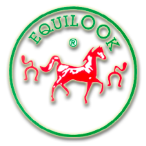 Logo Equilook
