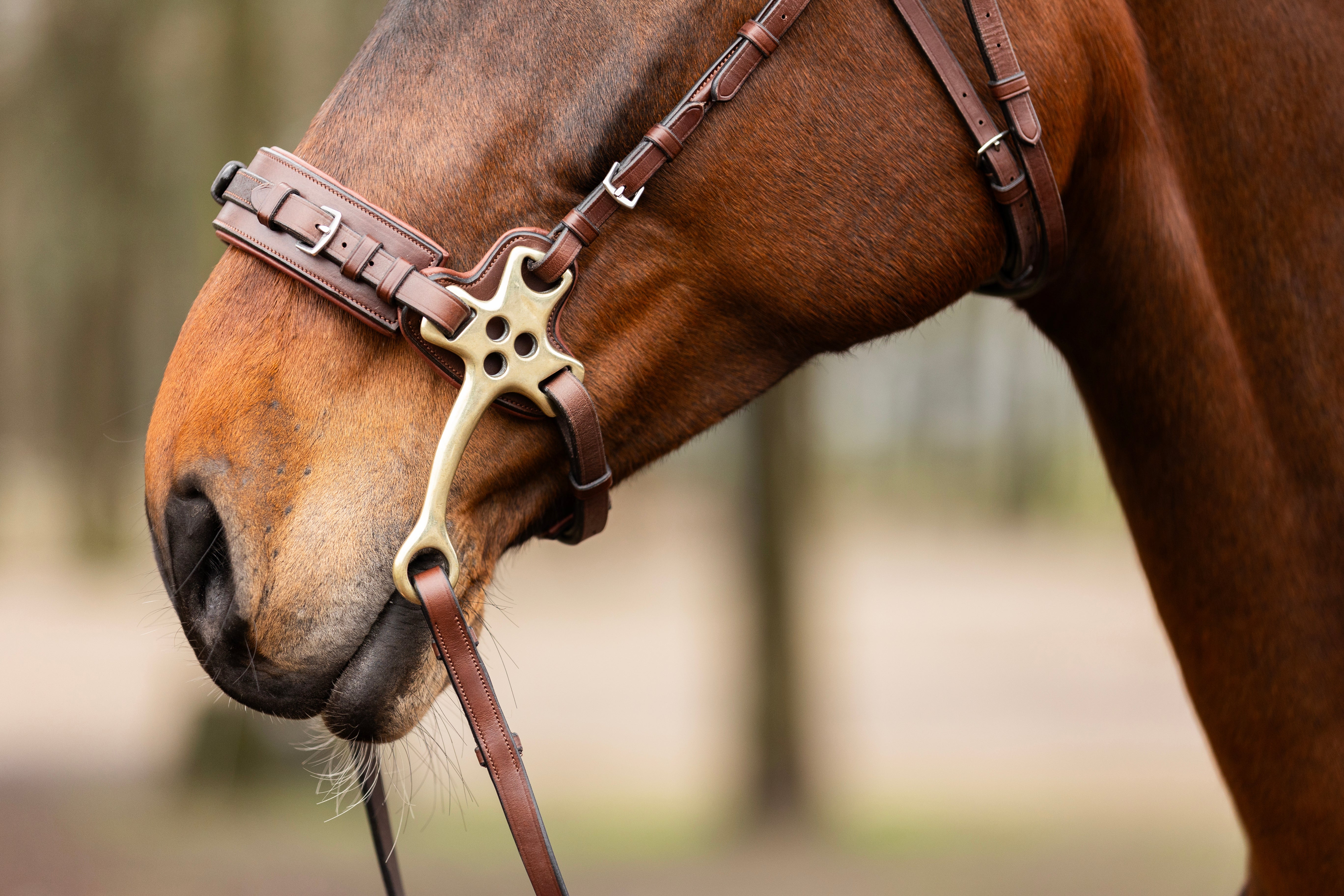 Springbitten met hefboomwerking