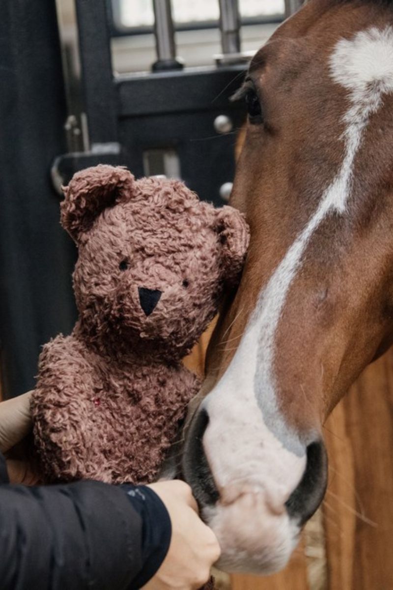 Paardenspeelgoed