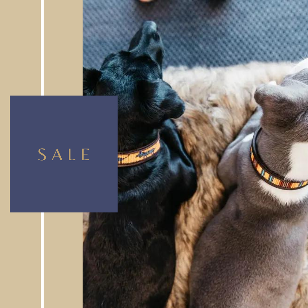 Sale Hond