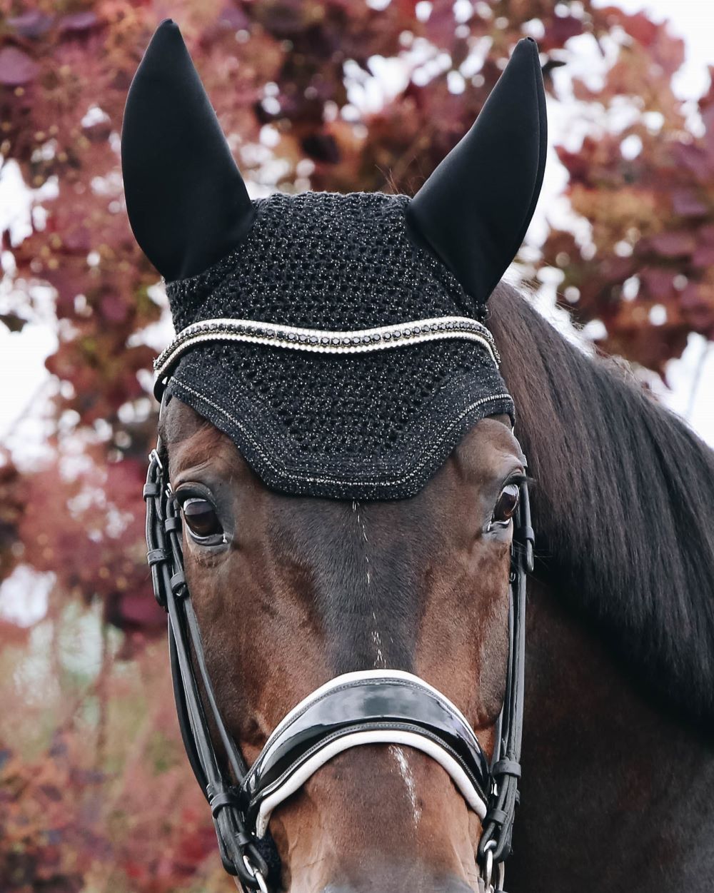 Kentucky Horsewear Fliegenmütze Wellington Sparkling soundless Schwarz