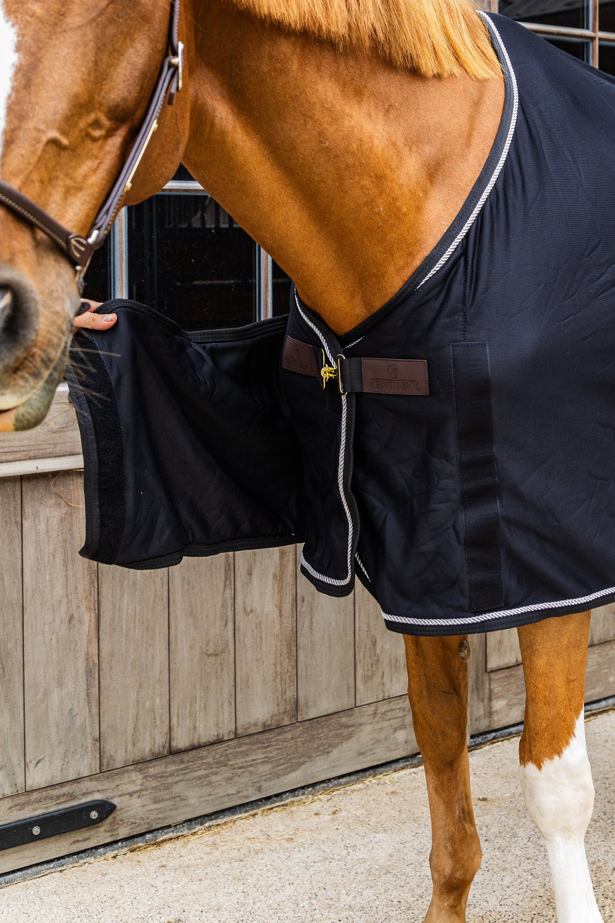 Kentucky Horsewear Fleecedeken Price Giving Cooler