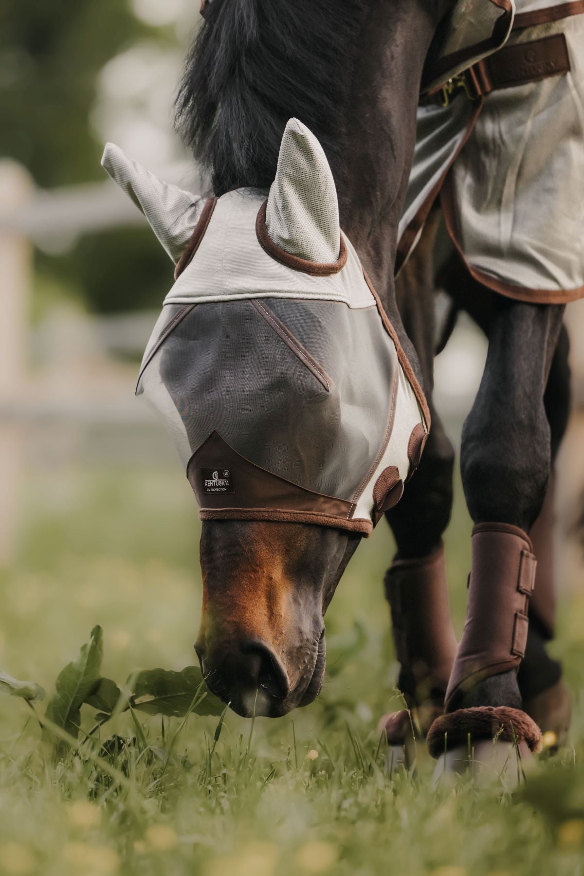 Kentucky Horsewear Fliegenmaske Classic mit Ohren Silber