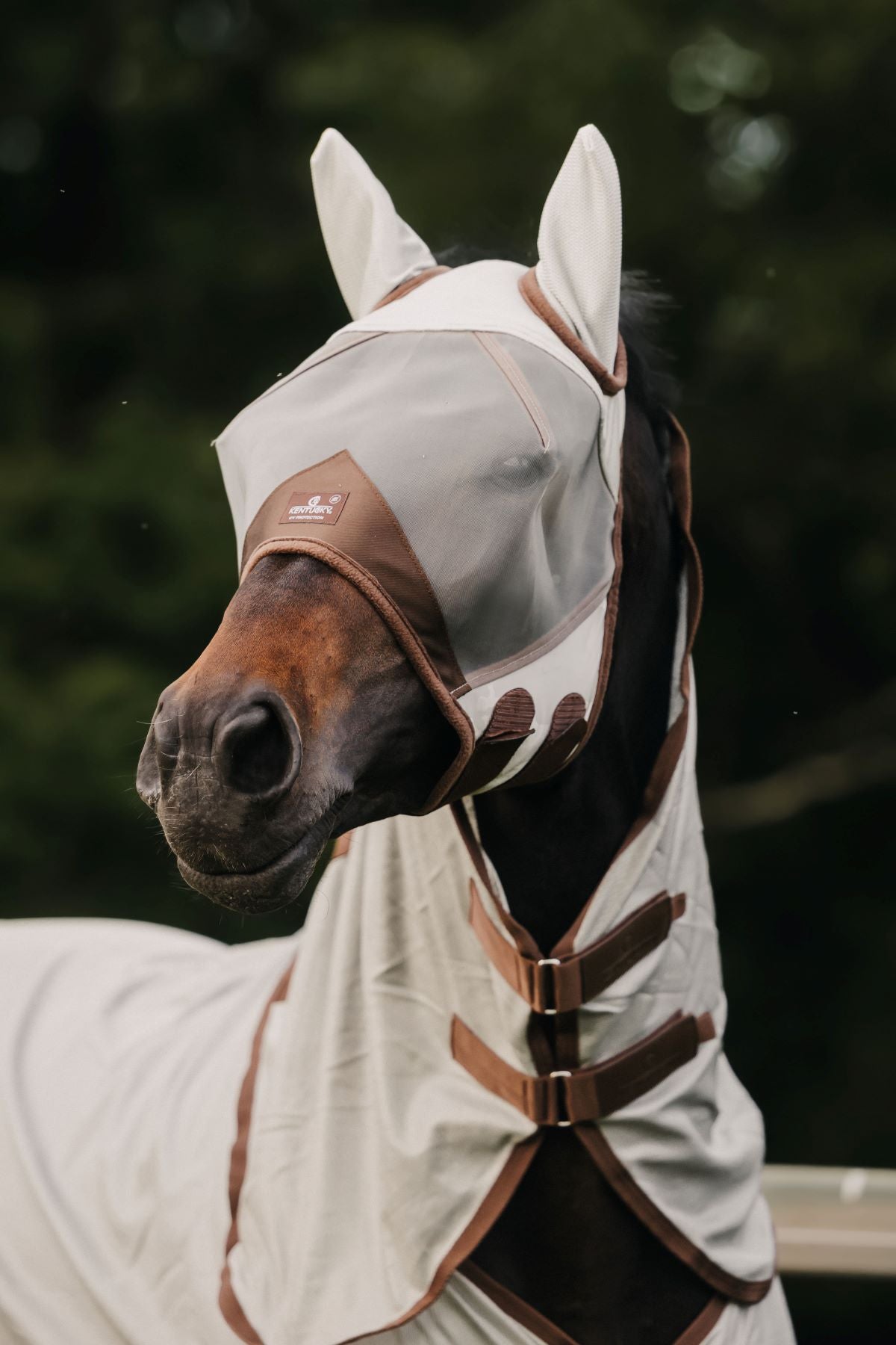 Kentucky Horsewear Fliegenmaske Classic mit Ohren Silber