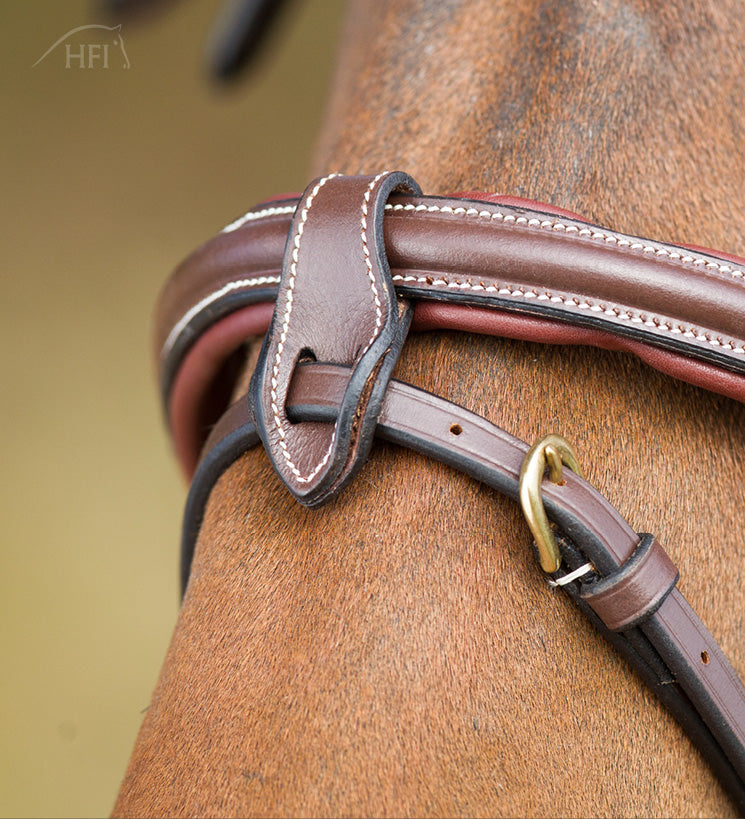 HFI Trense Anatomic