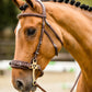 TRUST Trense Hickstead Hackamore Zaum silberne Schnallen Braun